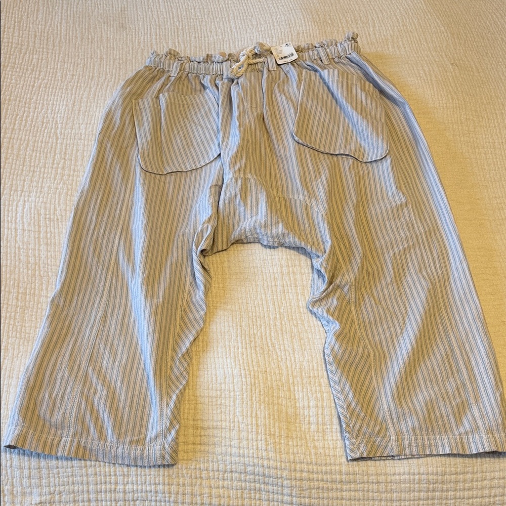 Free People Striped Sky Blue Striped Harem Bottoms